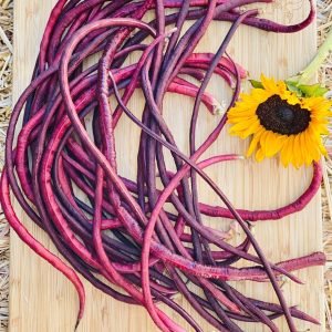 Red Yard Long Bean Gardening Seeds