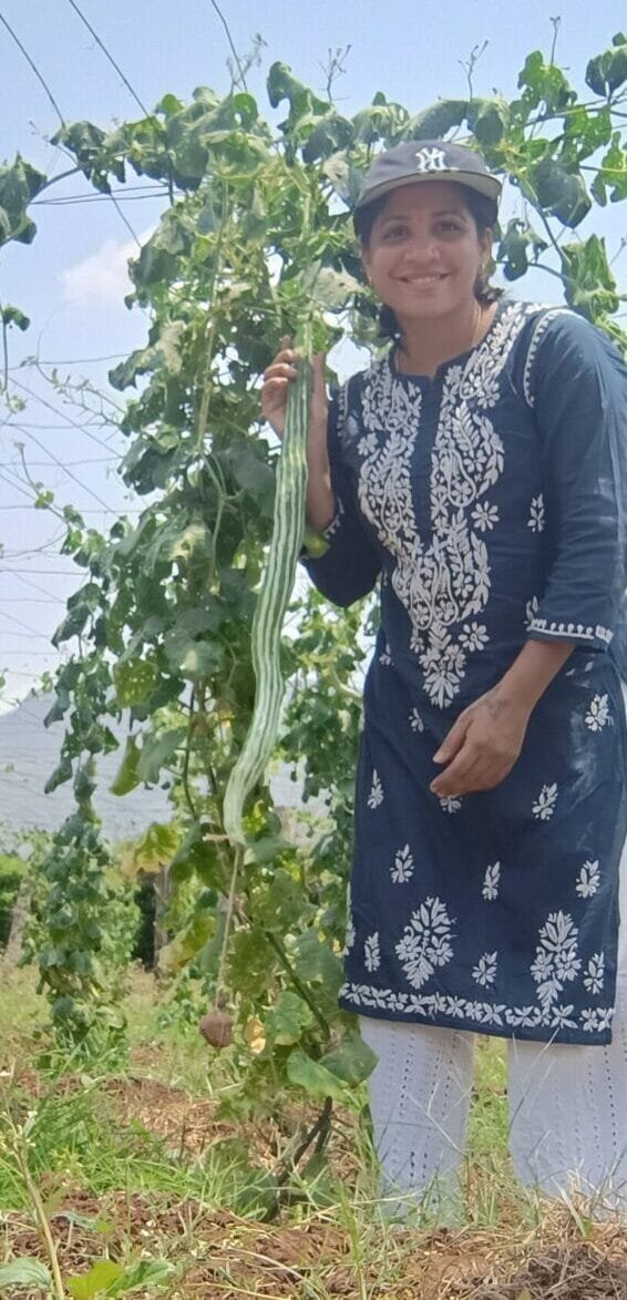 Snakegourd Green Long vegetable seeds