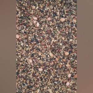 Cover Crop Mix of 20 variety Seeds – Natural Soil Protection & Green Manure