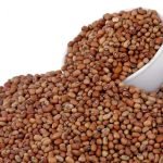 Native Lobia / Thattapayaru Seeds