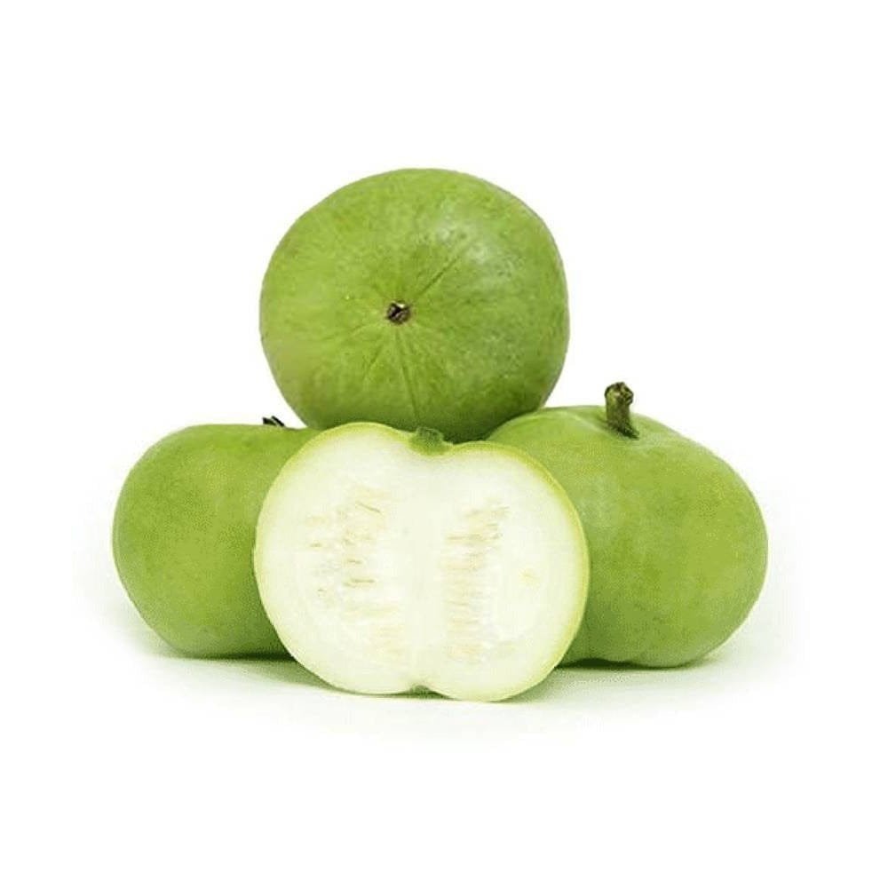 Apple Gourd Tinda open pollinated seeds - Image 2