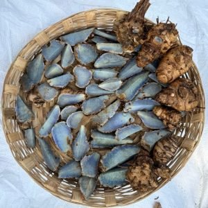 Black Turmeric Rhizome Seeds