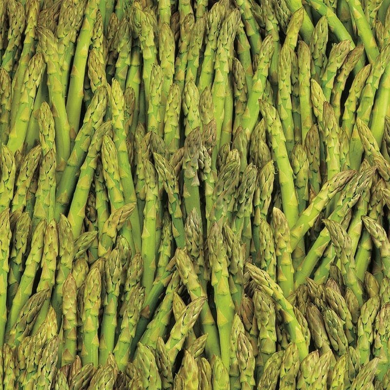 Heirloom Mary Washington Asparagus Seeds