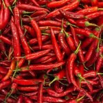 Guntur Chilli Open Pollinated seeds