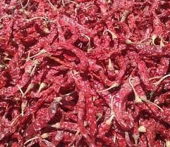 GI Tagged Byadgi Chilli Seeds - Image 2
