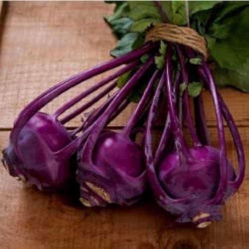 KnolKhol Purple Kohlrabi OP Seeds - Image 2