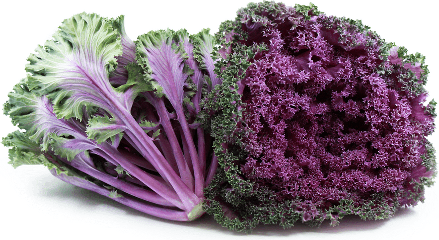 Kale Purple open pollinated seeds