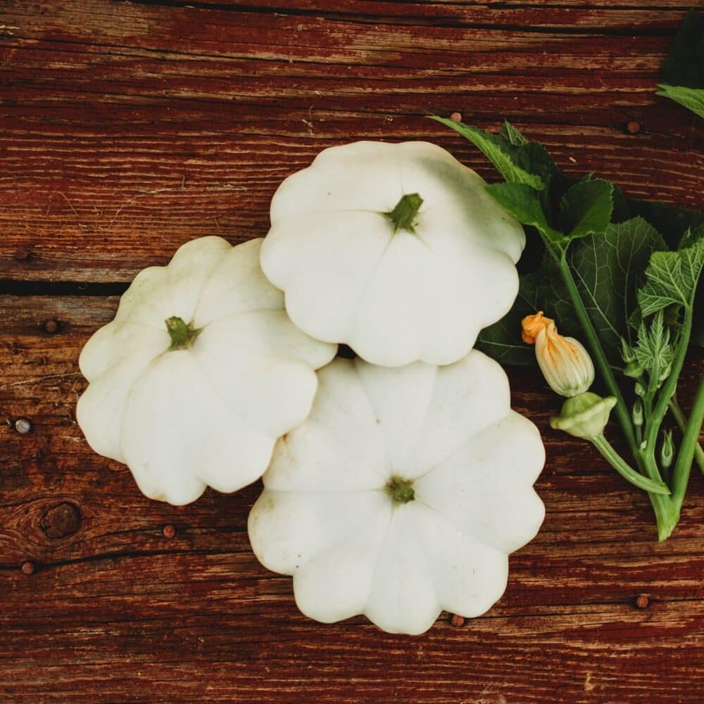 Heirloom PattyPan Squash Vegetable Seeds