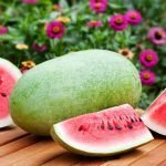 200 year old Heirloom Watermelon Tharupitchaikaai Seeds