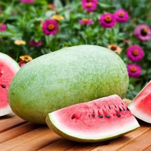 200 year old Heirloom Watermelon Tharupitchaikaai Seeds