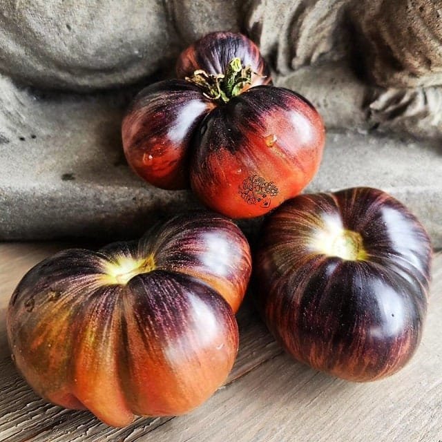 Anti-oxidant Rich Black Ribbed Tomato Seeds