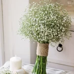 Gypsophila White Flower Seeds–Babys Breath-Ideal for Bouquets and Borders