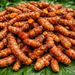 Pragathi Turmeric Rhizomes – High Yield Native Turmeric Seeds