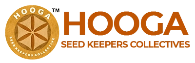 Hooga Seeds