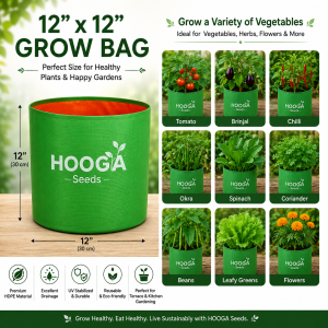 12x12 HDPE Grow Bag for Terrace and Kitchen Gardening | Hooga Seeds
