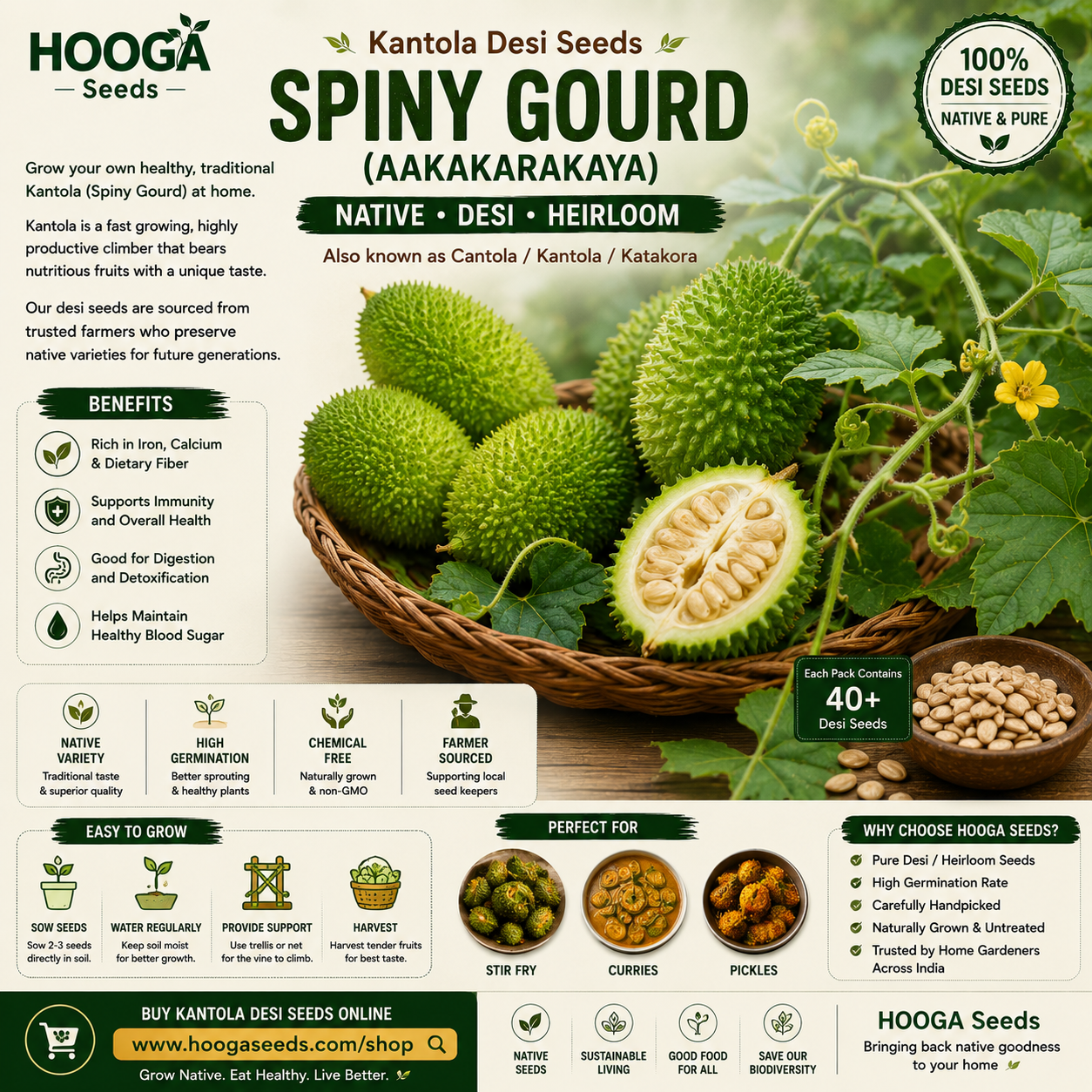 Kantola Desi Seeds / Spiny Gourd (Aakakarakaya / Cantola seeds) Native seeds