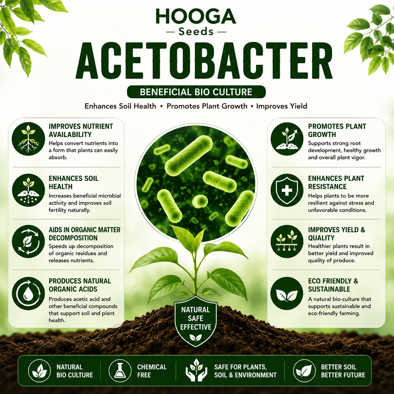 Acetobacter 1 Litre | Nitrogen-Fixing Biofertilizer for Plants & Crops | HOOGA Seeds