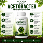 Acetobacter 1 Litre | Nitrogen-Fixing Biofertilizer | HOOGA Seeds