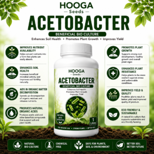 Acetobacter 1 Litre | Nitrogen-Fixing Biofertilizer | HOOGA Seeds