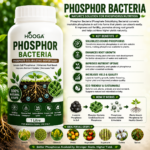 Phospho Bacteria 1 Litre | Phosphate Solubilizing Biofertilizer | HOOGA Seeds
