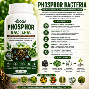 Phospho Bacteria 1 Litre | Phosphate Solubilizing Biofertilizer | HOOGA Seeds
