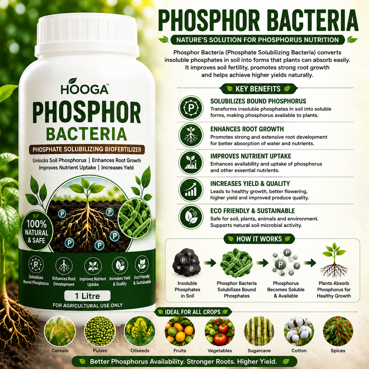 Phospho Bacteria 1 Litre | Phosphate Solubilizing Biofertilizer | HOOGA Seeds