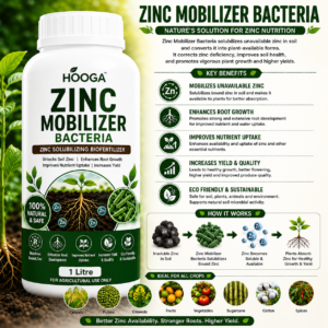 Zinc Mobilizer Bacteria 1 Litre – Zinc Solubilizing Biofertilizer for Plants and Crops - HOOGA Seeds