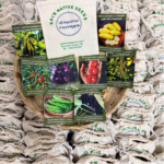 Premium Heritage Seed Gift Set | 8 Heirloom Seeds – HOOGA Seeds