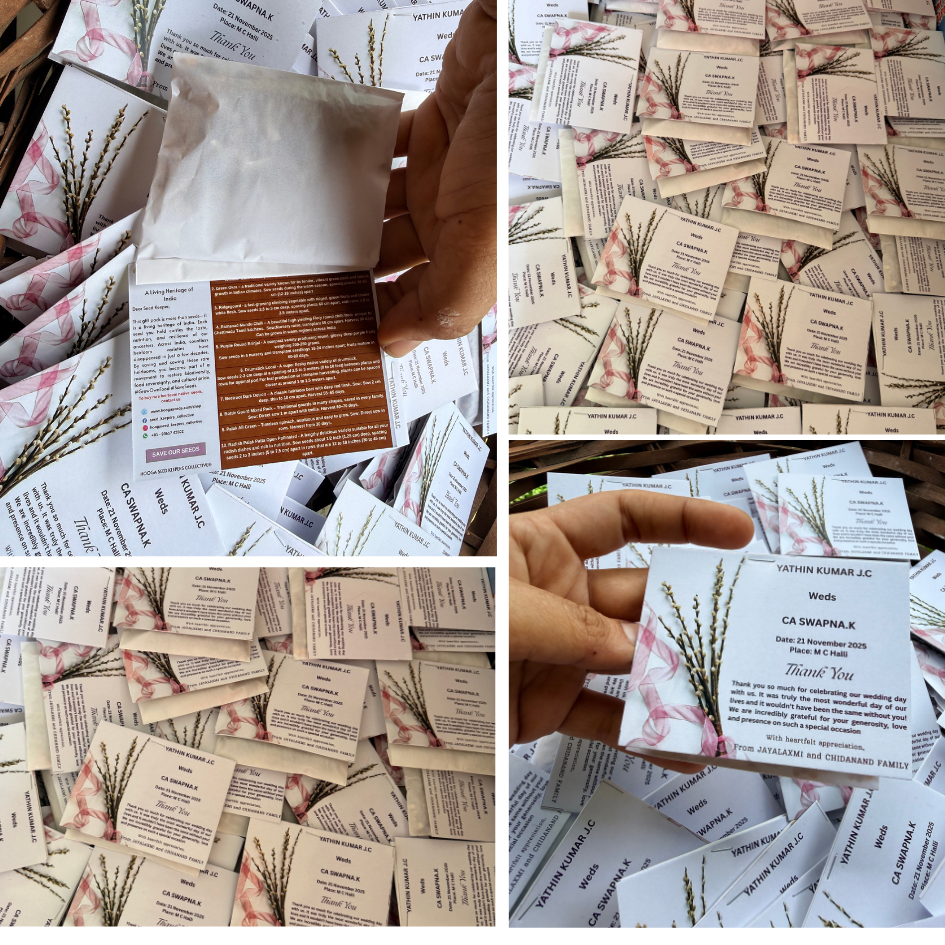 Biodiversity Blessing Box | Native & Heirloom Seed Gift Set
