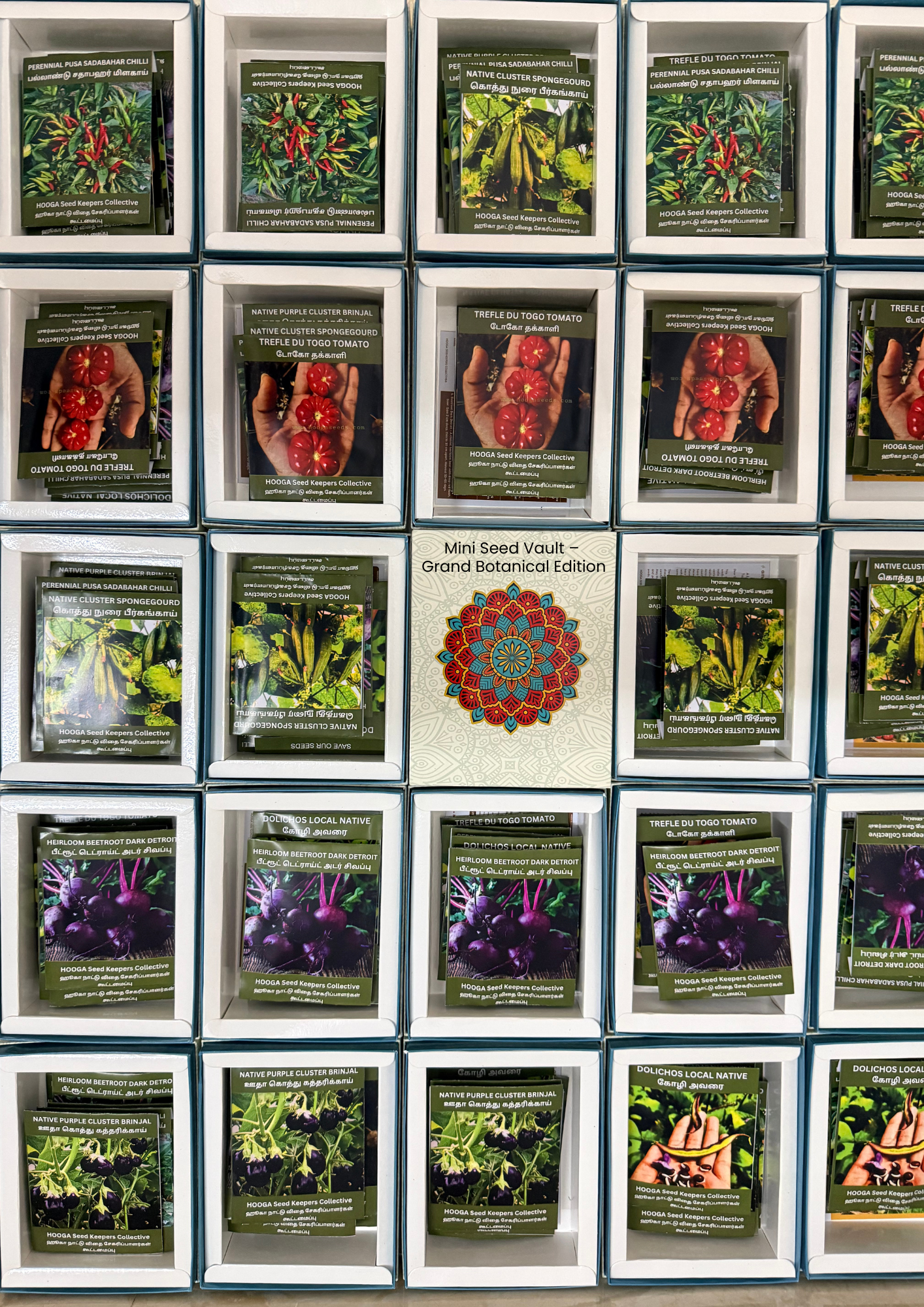 Mini Seed Vault-Heirloom Seed Gift Box-HOOGA Seeds - Image 3