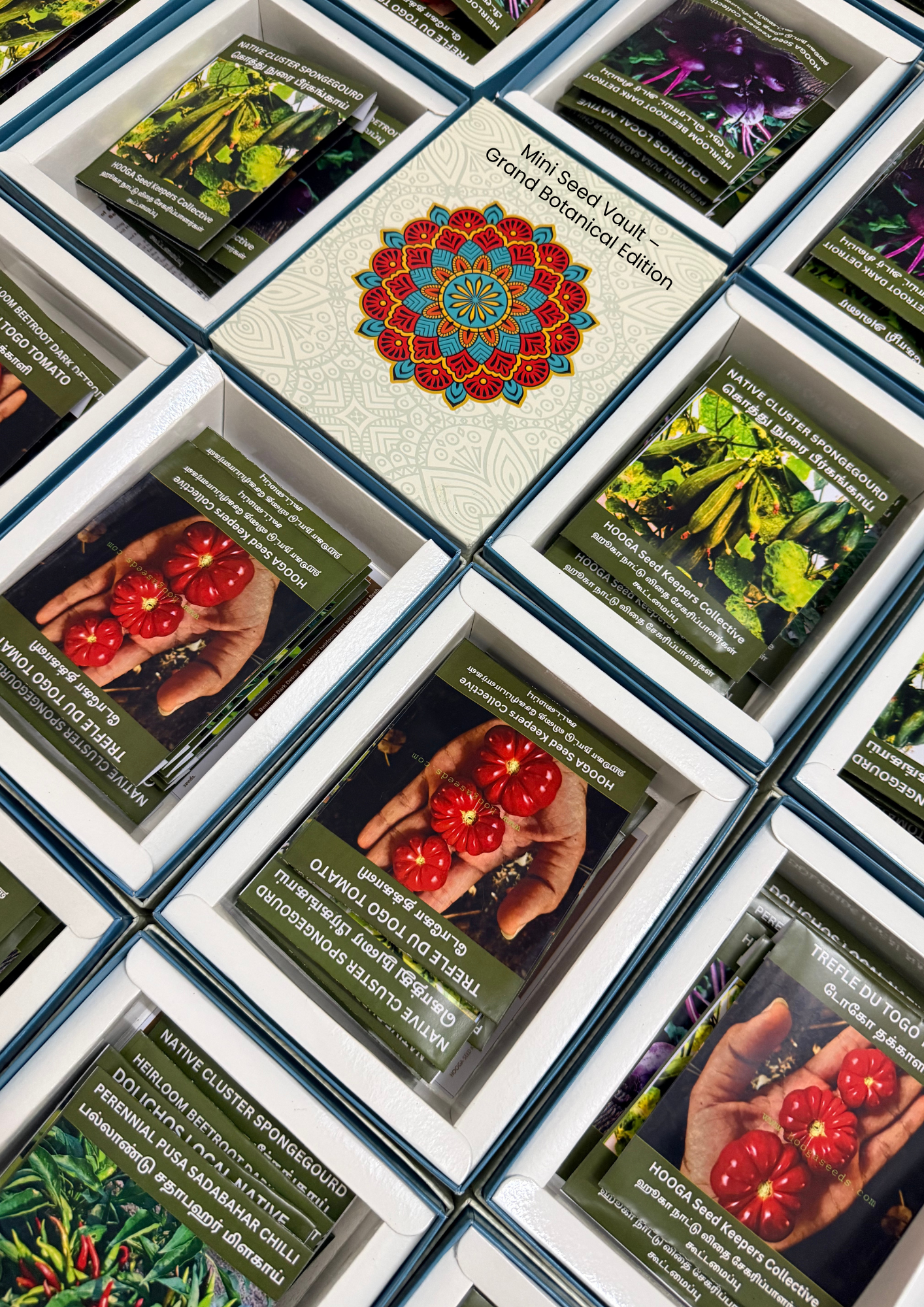 Mini Seed Vault-Heirloom Seed Gift Box-HOOGA Seeds - Image 2